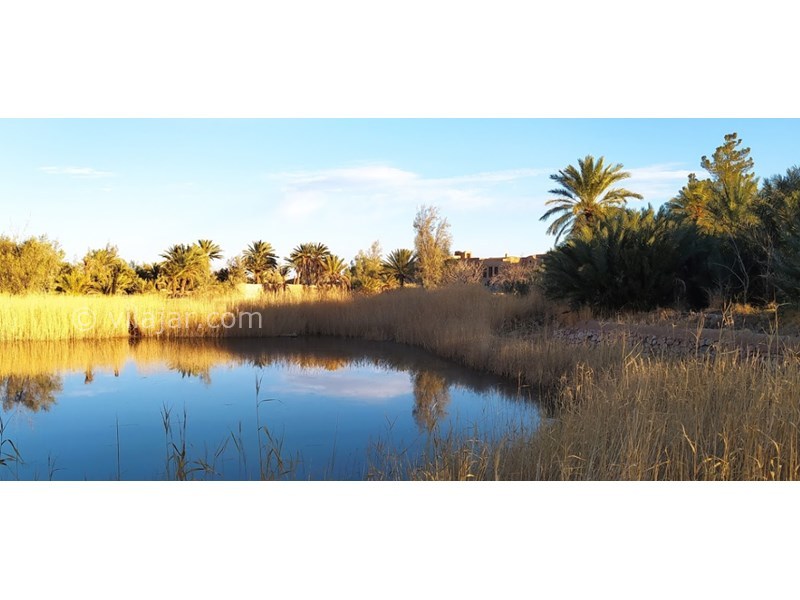 عکس شماره 601578 - اقامتگاه بومگردی الما - 