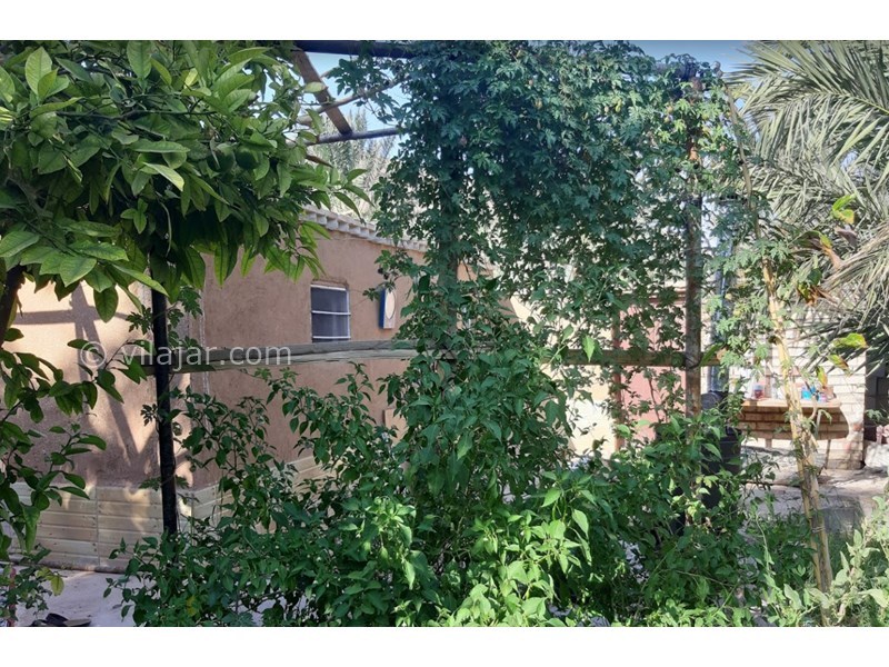 عکس شماره 601585 - اقامتگاه بومگردی الما - 