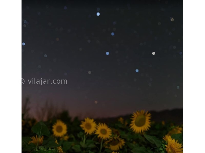 عکس شماره 601589 - اقامتگاه بومگردی الما - 