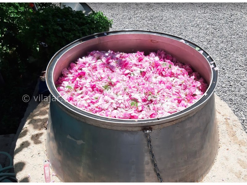 عکس شماره 601784 - اقامتگاه سنتی سرای جواهر - 