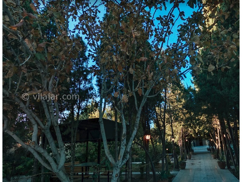 عکس شماره 602228 - اقامتگاه سنتی کوچه باغ - 