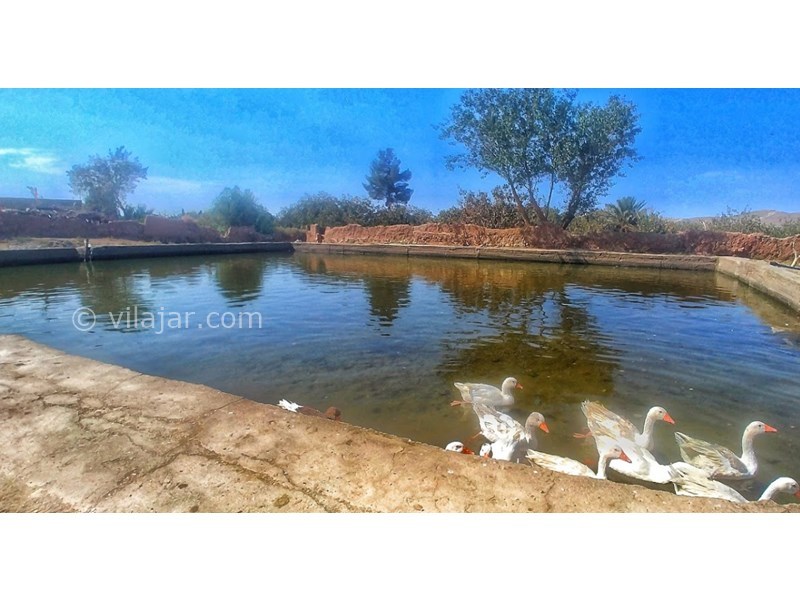 عکس شماره 602638 - اقامتگاه بومگردی ناروسینه - 