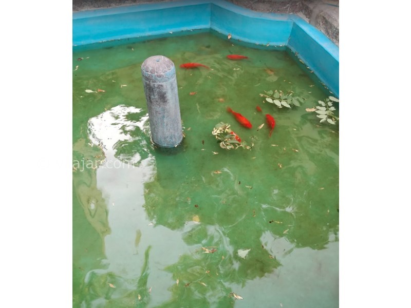 عکس شماره 603333 - اقامتگاه بومگردی ماه بی بی - 