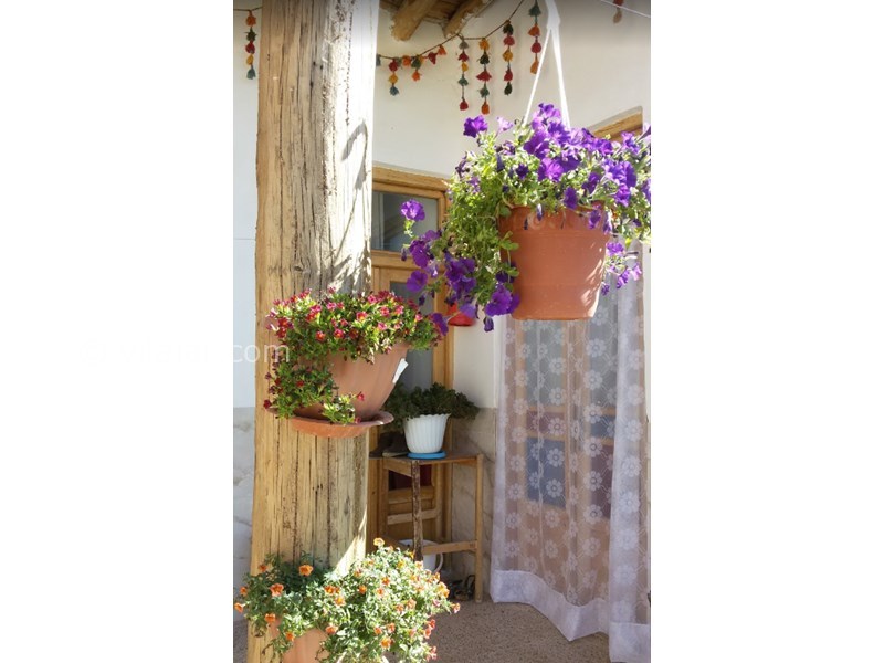 عکس شماره 603596 - اقامتگاه بوم گردی پلاسجان - 