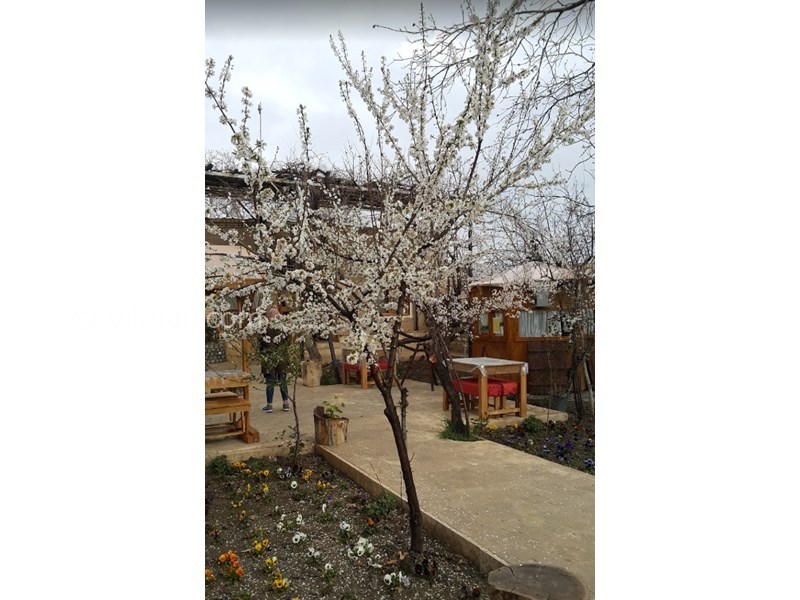 عکس شماره 603716 - اقامتگاه بومگردی سرای مادر - 