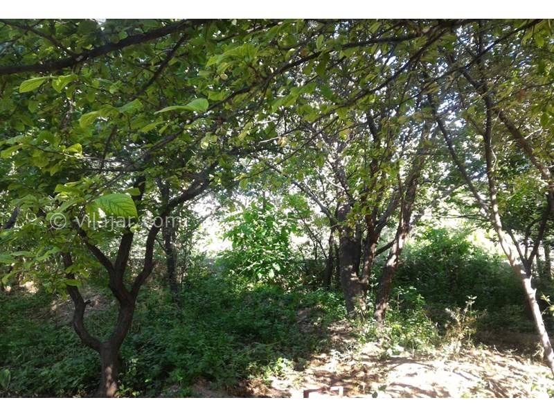 عکس شماره 603904 - اقامتگاه بومگردی کوشک آقا محمد - 