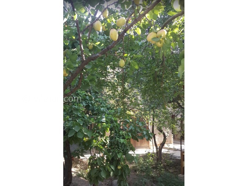 عکس شماره 603910 - اقامتگاه بومگردی کوشک آقا محمد - 