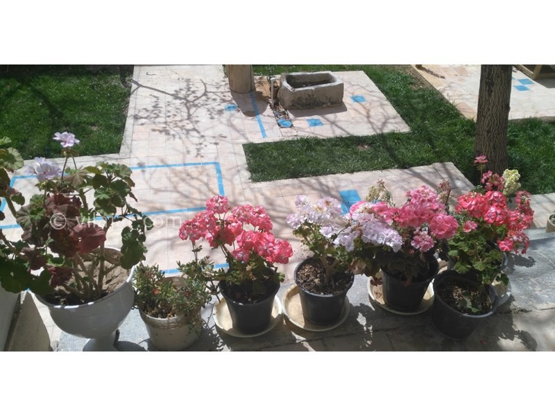 عکس شماره 603954 - اقامتگاه بوم‌گردی خانه جواهری - 