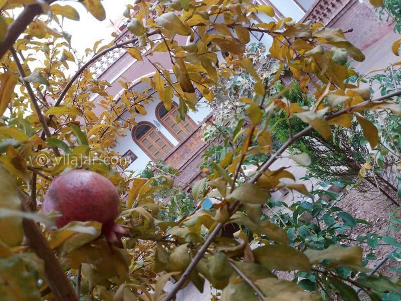 عکس شماره 604044 - اقامتگاه سنتی فانوس ویونا - 