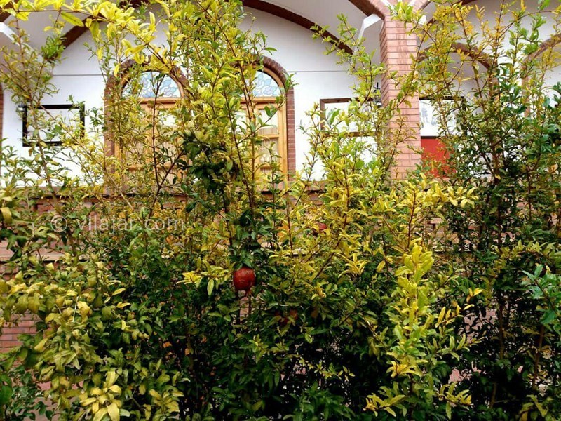 عکس شماره 604045 - اقامتگاه سنتی فانوس ویونا - 