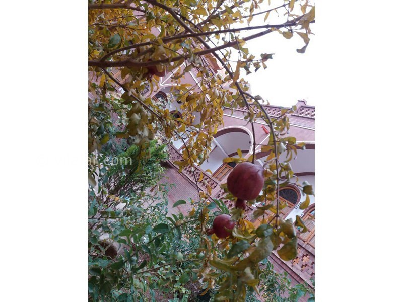 عکس شماره 604048 - اقامتگاه سنتی فانوس ویونا - 