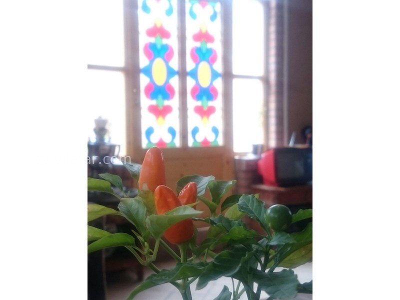 عکس شماره 604068 - اقامتگاه سنتی فانوس ویونا - 