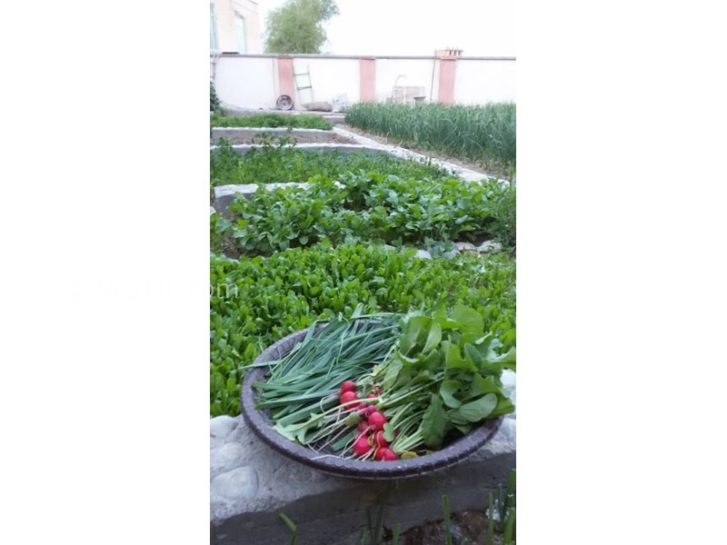 عکس شماره 604133 - اقامتگاه بوم گردی پلاسجان - 