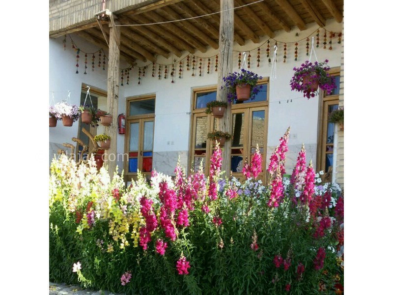 عکس شماره 604157 - اقامتگاه بوم گردی پلاسجان - 