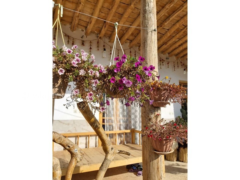 عکس شماره 604160 - اقامتگاه بوم گردی پلاسجان - 