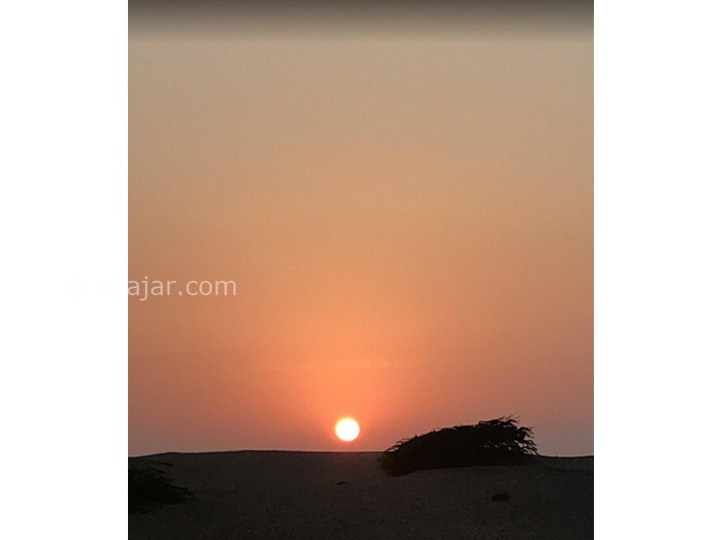 عکس شماره 604389 - اقامتگاه راستین - 