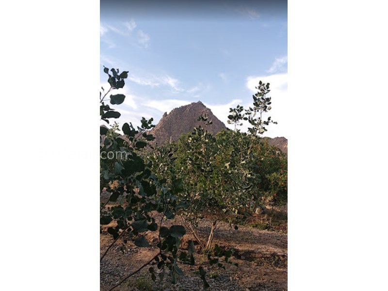 عکس شماره 604983 - اقامتگاه بوم گردی منزلاب - 