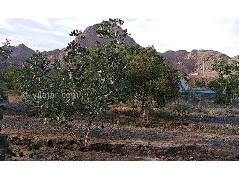 عکس شماره 604991 - اقامتگاه بوم گردی منزلاب - 