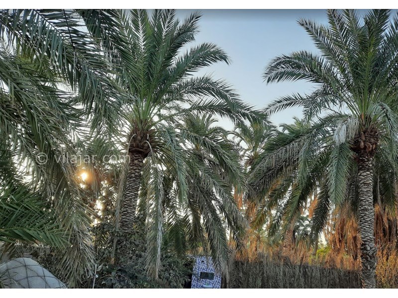 عکس شماره 605060 - اقامتگاه بومگردی خاله زبیده - 