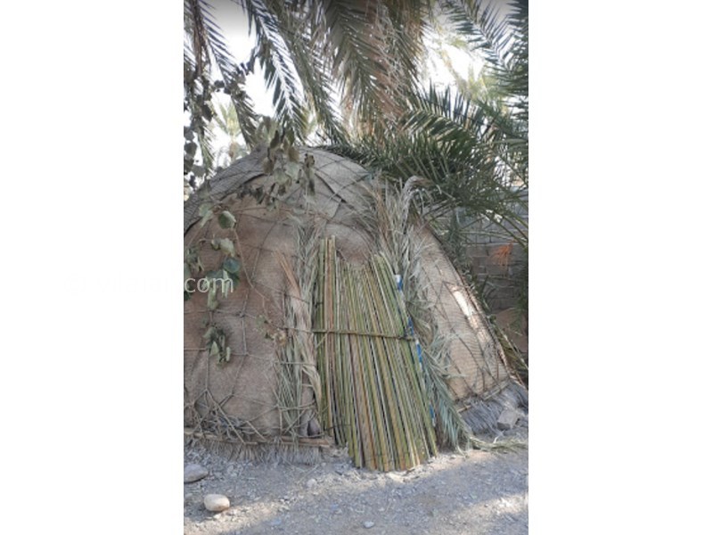 عکس شماره 605062 - اقامتگاه بومگردی خاله زبیده - 