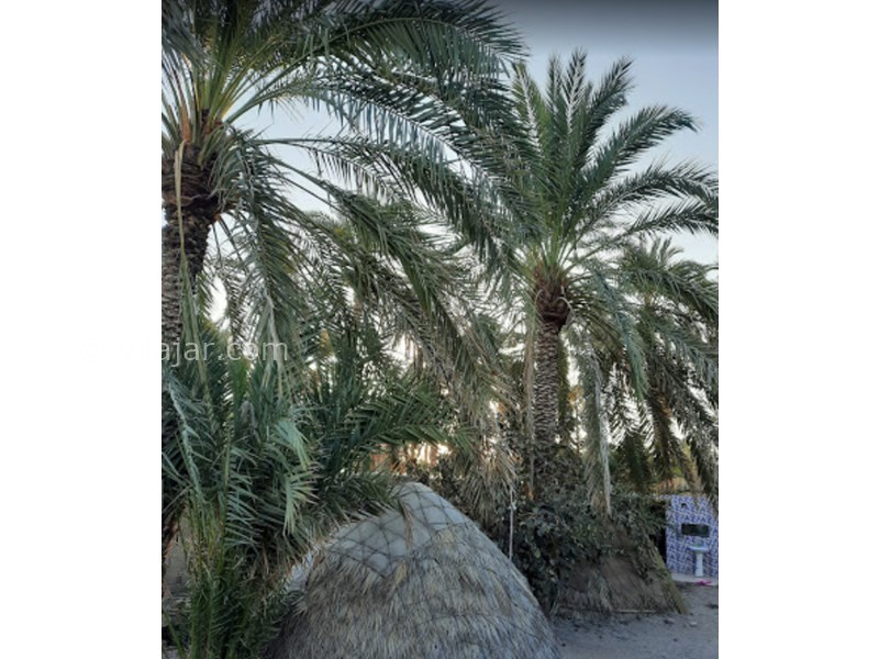 عکس شماره 605073 - اقامتگاه بومگردی خاله زبیده - 