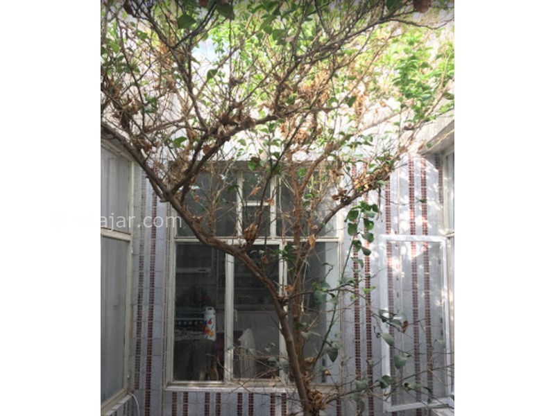 عکس شماره 605254 - اقامتگاه بومگردی نارنج - 