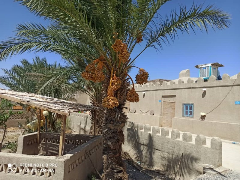 عکس شماره 605360 - اقامتگاه بومگردی کیانسه - 