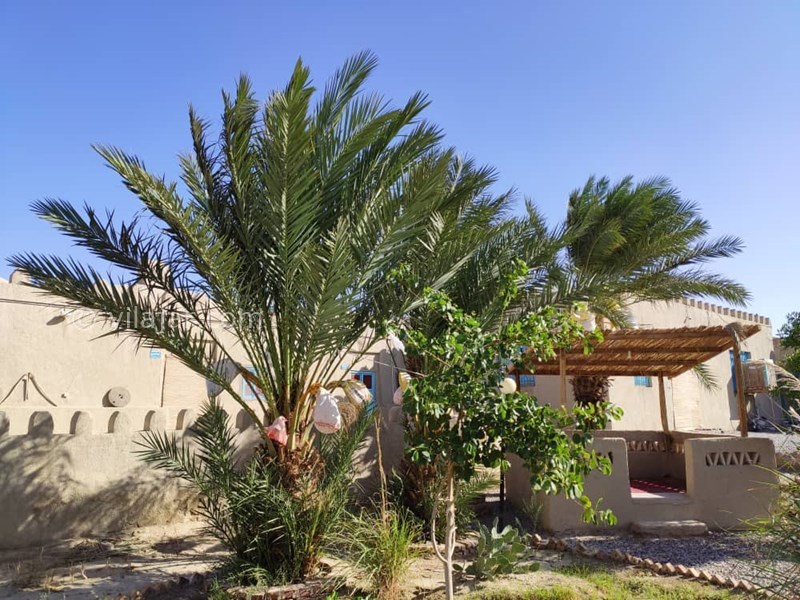 عکس شماره 605365 - اقامتگاه بومگردی کیانسه - 