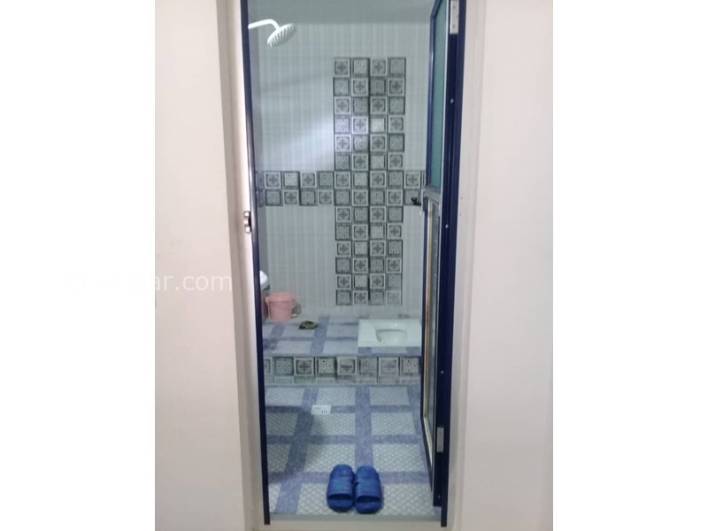 عکس شماره 605861 - اجاره خانه ویلایی در تالش - 