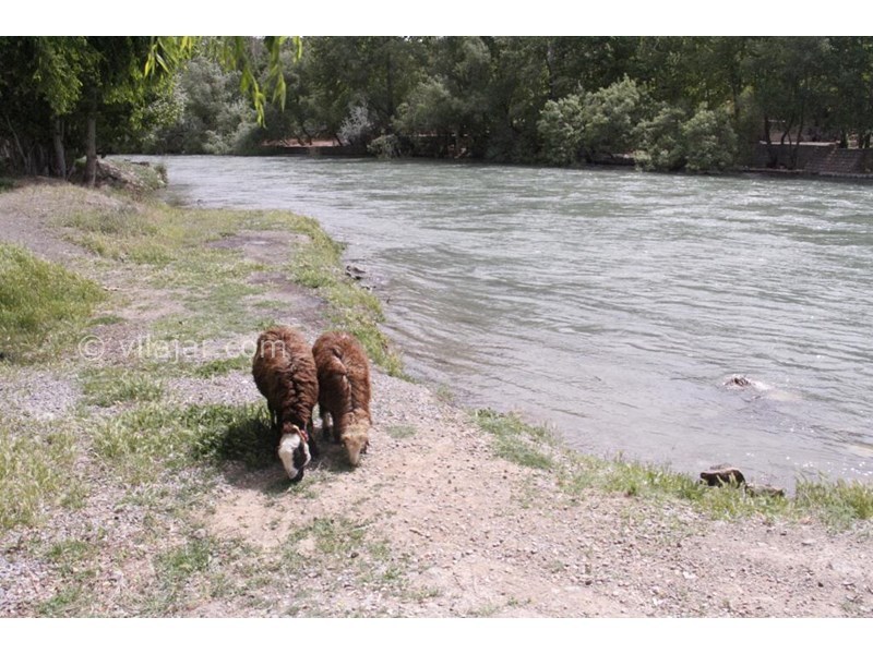 عکس شماره 606064 - اجاره ویلا حاشیه زاینده رود - فضای کنار رودخانه