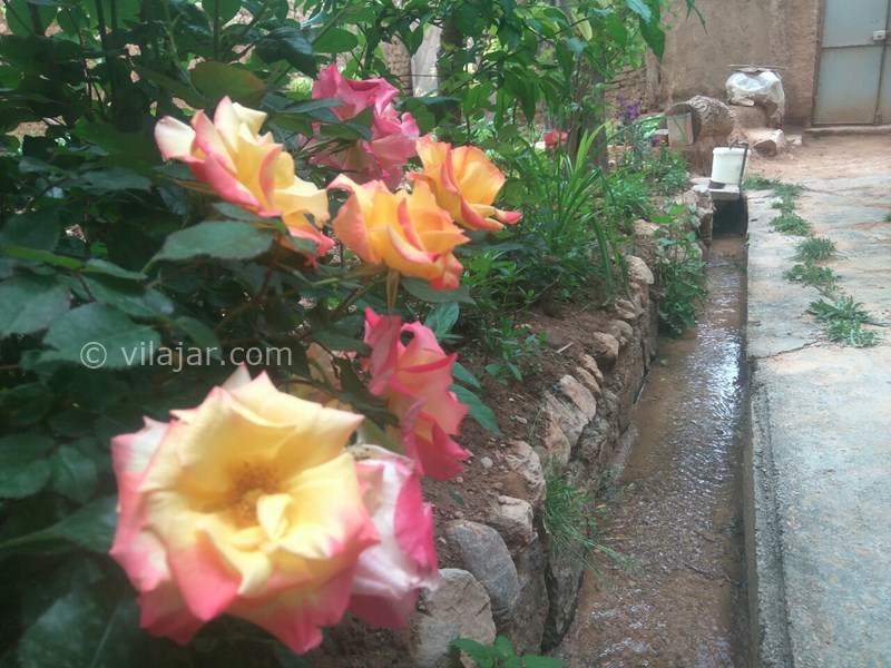 عکس شماره 606177 - اقامتگاه بومگردی رویین دژ - 