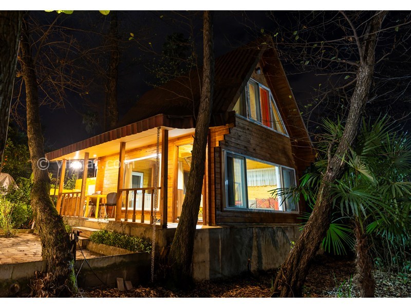 عکس شماره 606195 - ویلا چوبی استخردار در رامسر - 