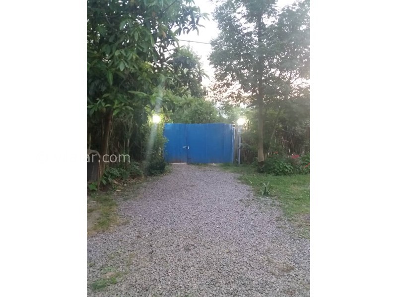 عکس شماره 606342 - اجاره ویلا جنگلی در ماسال -