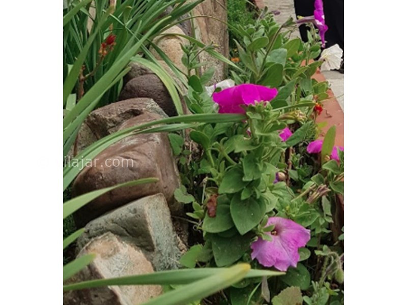 عکس شماره 606763 - اقامتگاه بوم گردی دلفارد - 