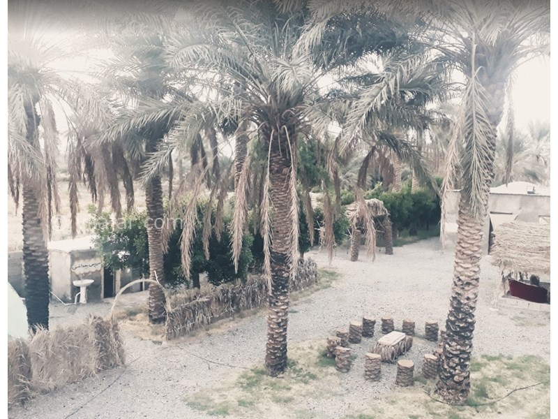 عکس شماره 606778 - اقامتگاه بوم گردی قلعه نو - 