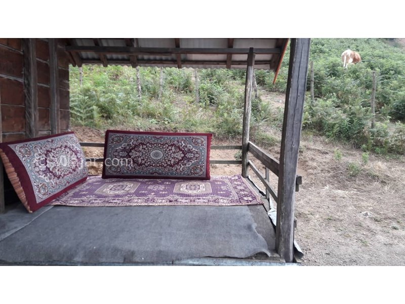 عکس شماره 606814 - کلبه چوبی در ییلاق اولسبلنگاه - 