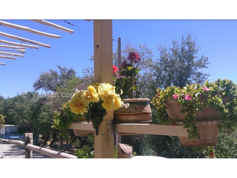 عکس شماره 606994 - اقامتگاه بوم گردی رودین راویز - 