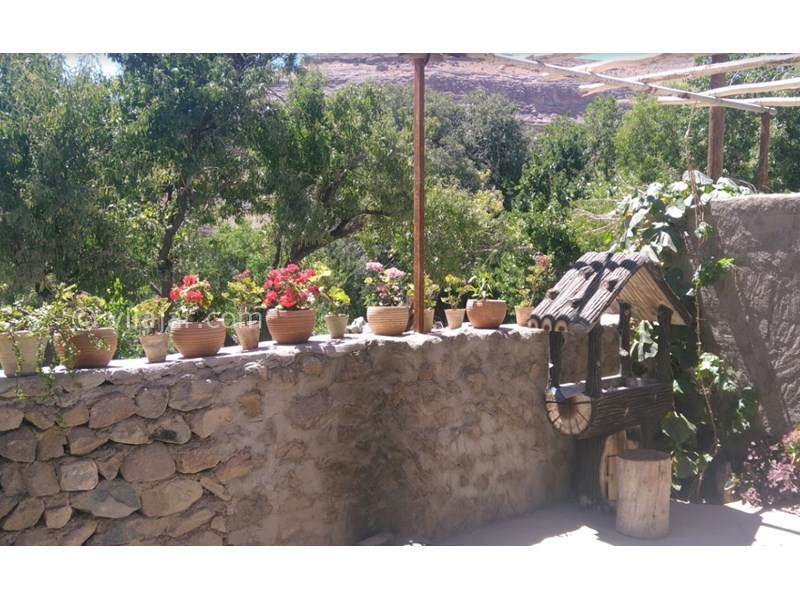 عکس شماره 606996 - اقامتگاه بوم گردی رودین راویز - 