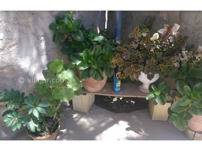 عکس شماره 607002 - اقامتگاه بوم گردی رودین راویز - 