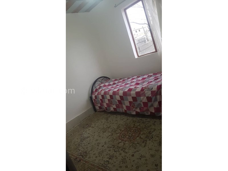 عکس شماره 607253 - اجاره سوییت در تالش - 