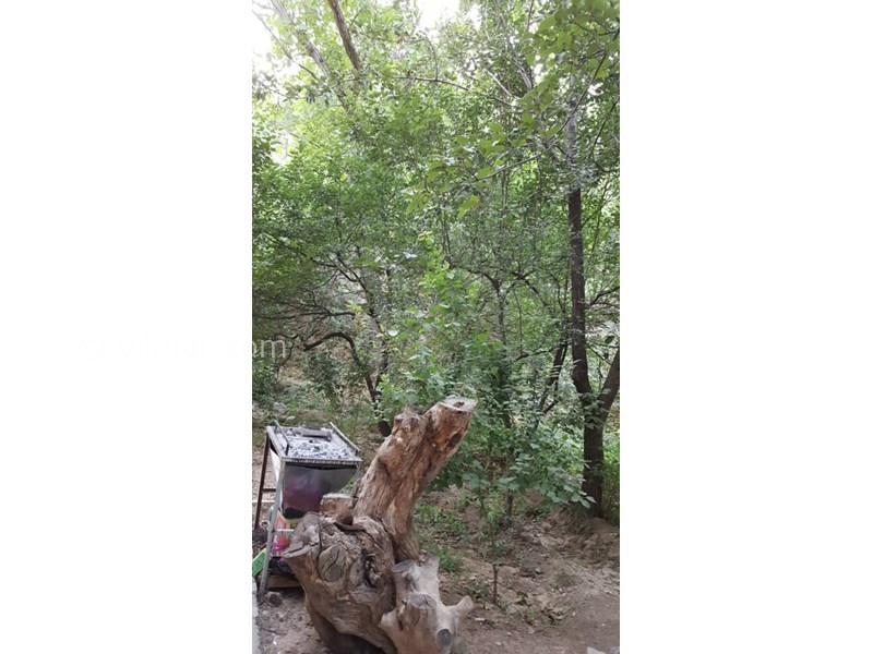 عکس شماره 607383 - اقامتگاه بومگردی کوشک آقا محمد - 