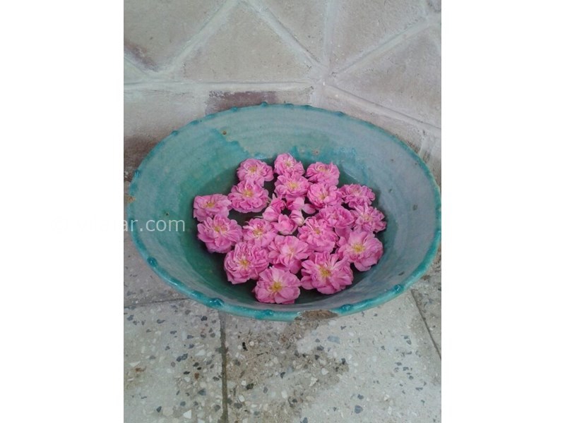 عکس شماره 607385 - اقامتگاه بومگردی کوشک آقا محمد - 