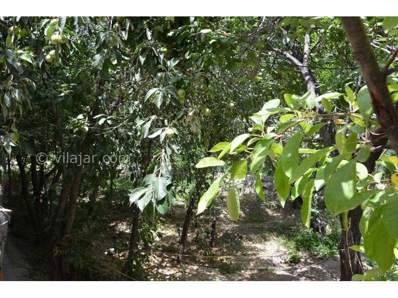 عکس شماره 607390 - اقامتگاه بومگردی کوشک آقا محمد - 