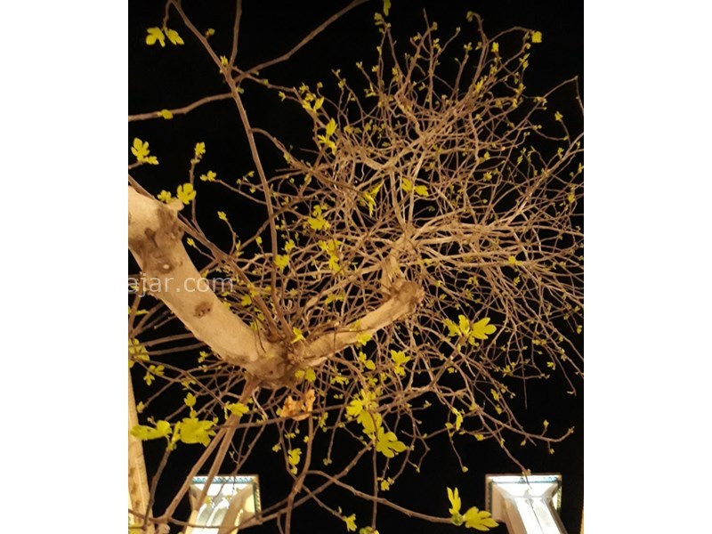 عکس شماره 607904 - اقامتگاه تاریخی نه چم - 