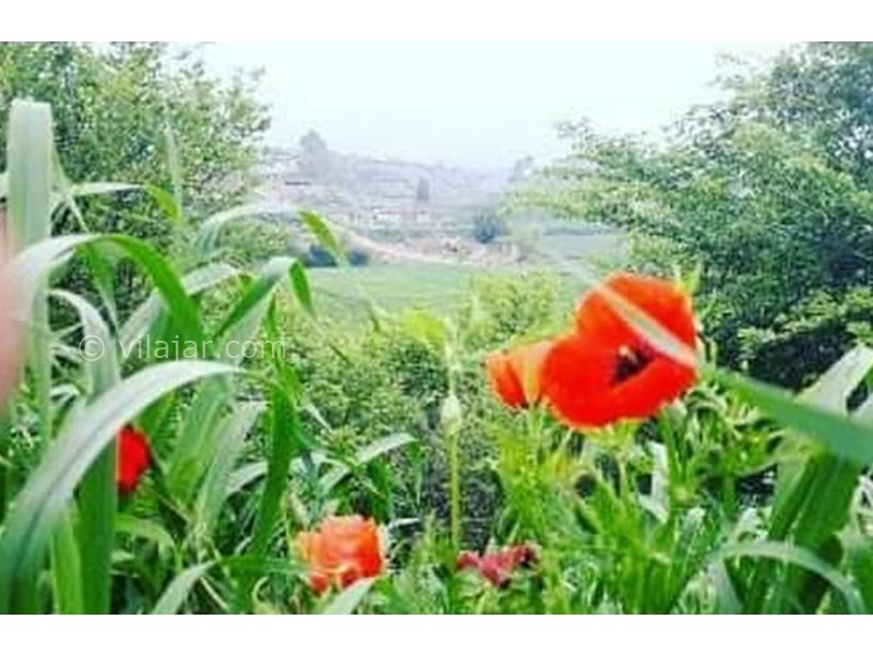 عکس شماره 607948 - اقامتگاه ترکمن یاشار -