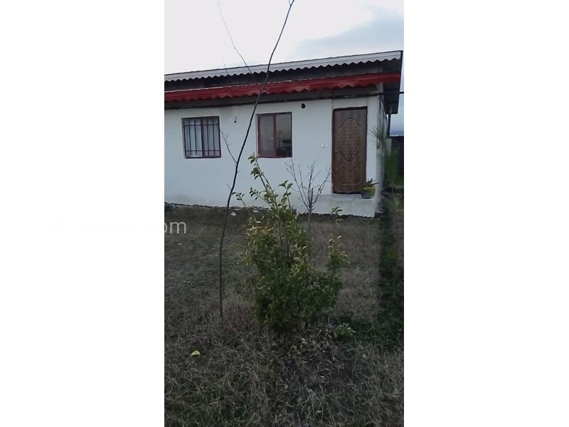 عکس شماره 607952 - اجاره سوییت در تالش - 