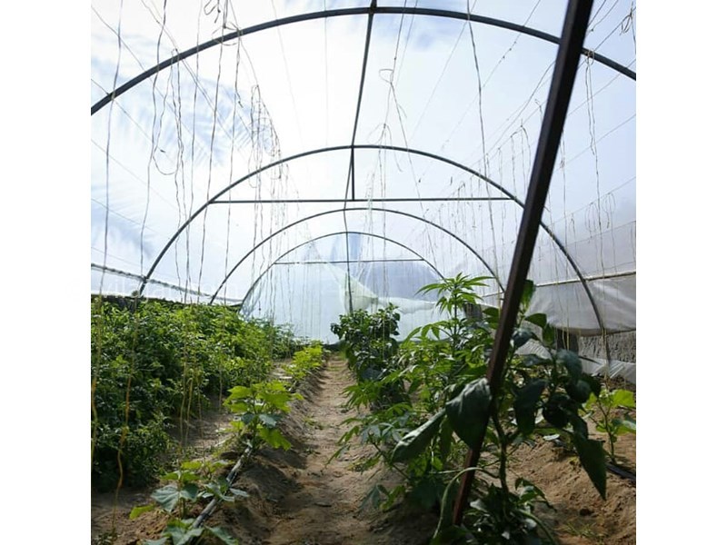 عکس شماره 607982 - اقامتگاه بوم گردی قلعه نو - 