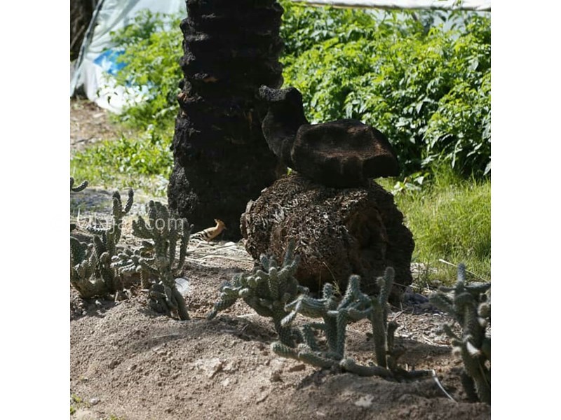 عکس شماره 607983 - اقامتگاه بوم گردی قلعه نو - 