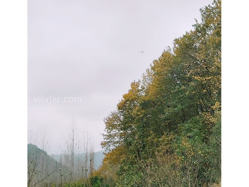 عکس شماره 608174 - اجاره ویلا چوبی سنتی در سوادکوه - 