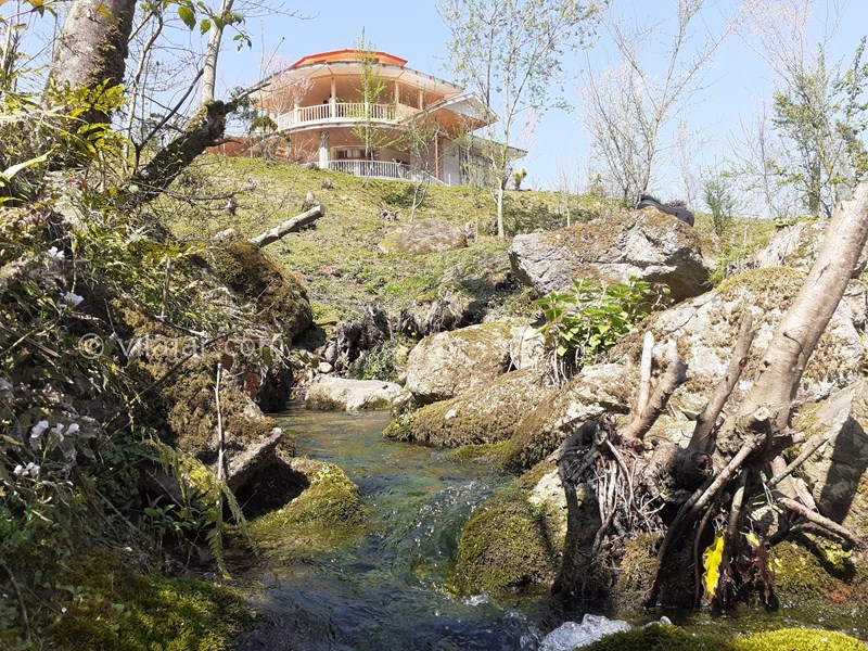 عکس شماره 608553 - اجاره ویلا ماسال با چشمه اختصاصی - نمایی از چشمه اختصاصی داخل حیاط۴۰۰۰ متری ویلا